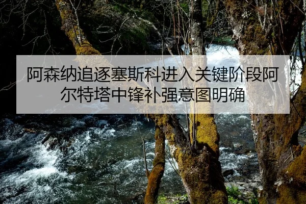 阿森纳追逐塞斯科进入关键阶段阿尔特塔中锋补强意图明确