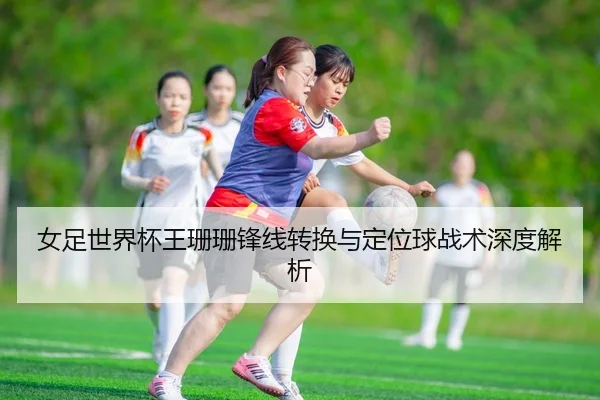 nv-zu-shi-jie-bei-wang-shan-shan-feng-xian-zhuan-huan-yu-ding-wei-qiu-zhan-shu-shen-du-jie-xi-3-455.jpg