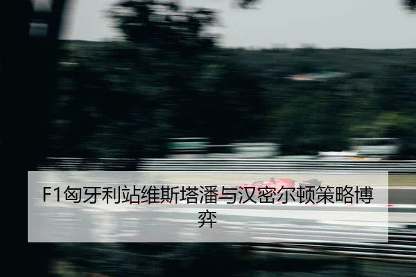 xiong-ya-li-zhan-wei-si-ta-pan-yu-han-mi-er-dun-ce-lve-bo-yi-2-751.jpg
