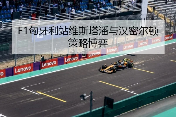 xiong-ya-li-zhan-wei-si-ta-pan-yu-han-mi-er-dun-ce-lve-bo-yi-3-754.jpg